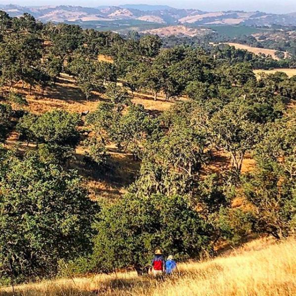 Windwood Ranch Paso Robles Villa Kültér fotó