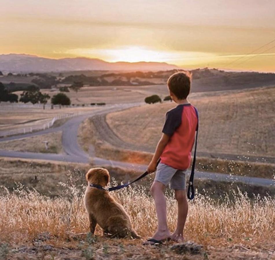 Windwood Ranch Paso Robles Villa Kültér fotó